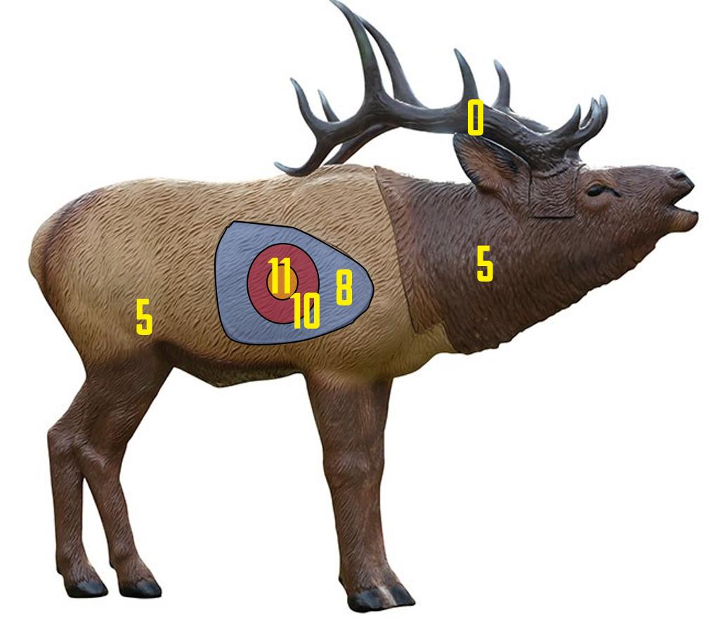https://bowhunting.cz/wp-content/uploads/2026/06/bodovani_deti.png